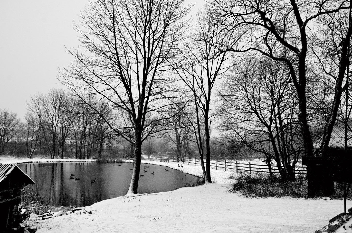 Capture Greater Lehigh Valley: The Best of the Lehigh Valley in Photography