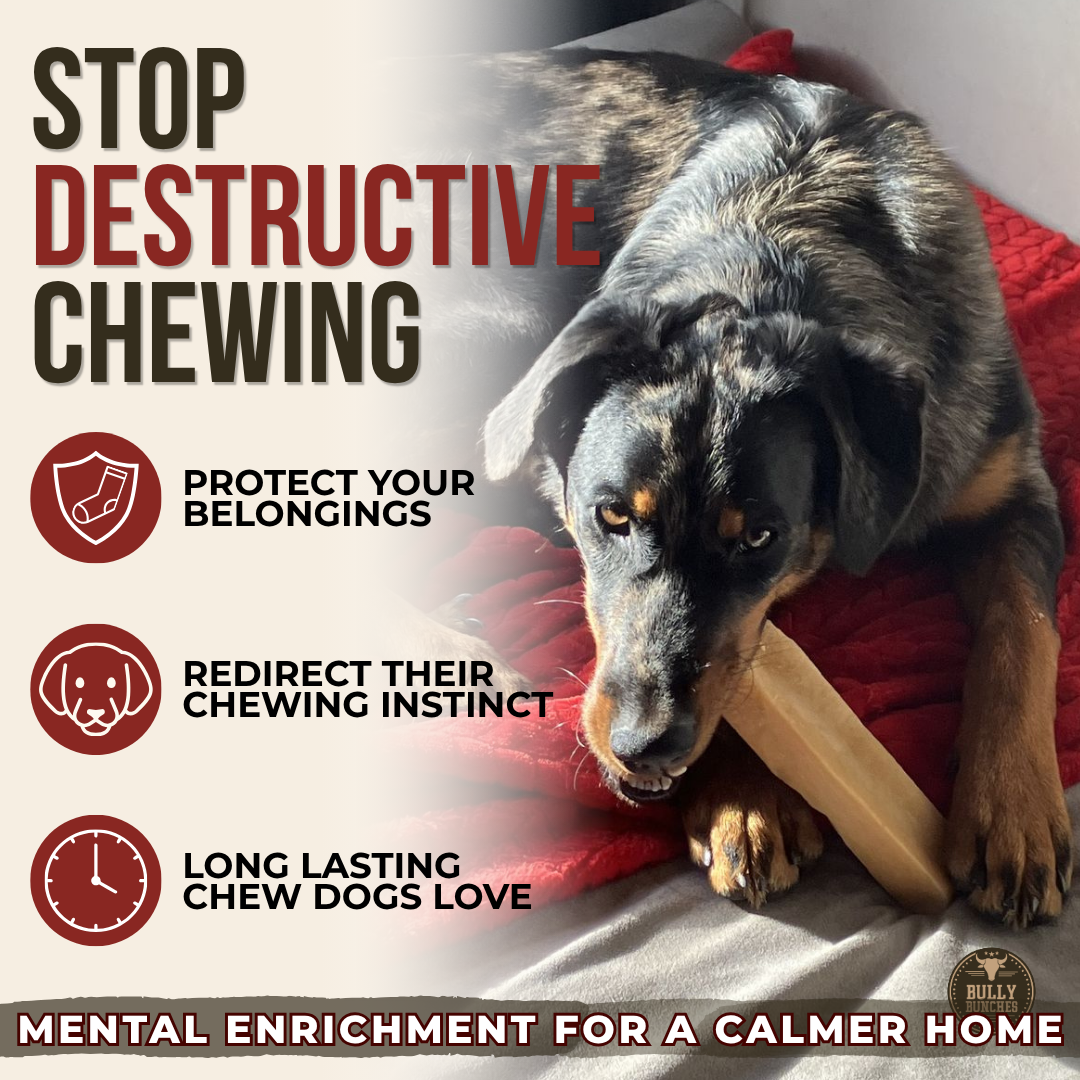 Himalayan Yak Chew (MEGA)