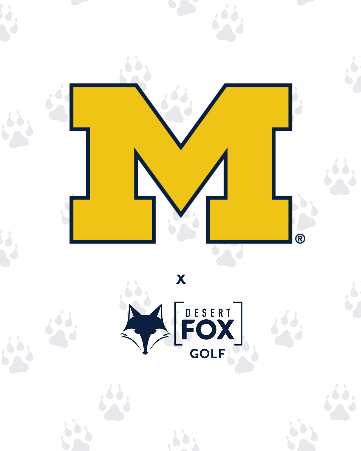 NCAA - Michigan