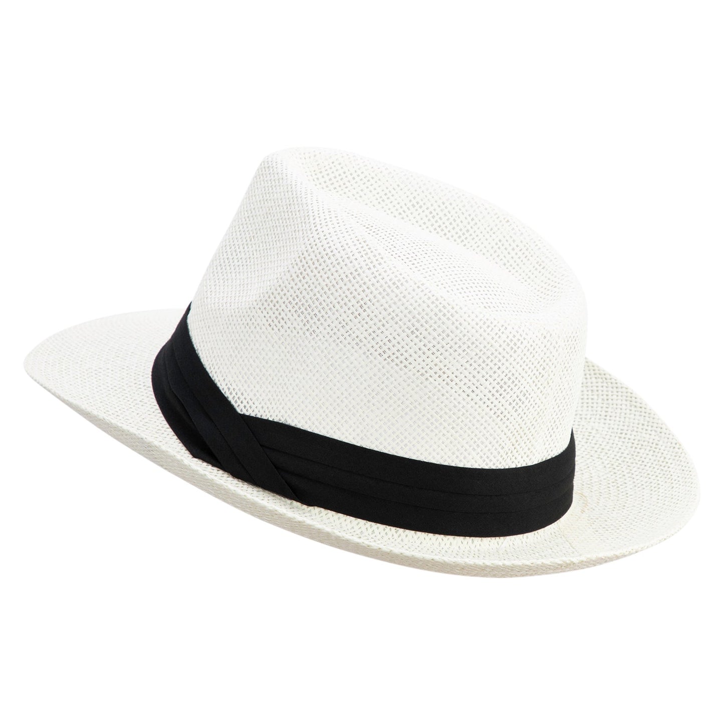 Men's Large Brim Fedora Hat