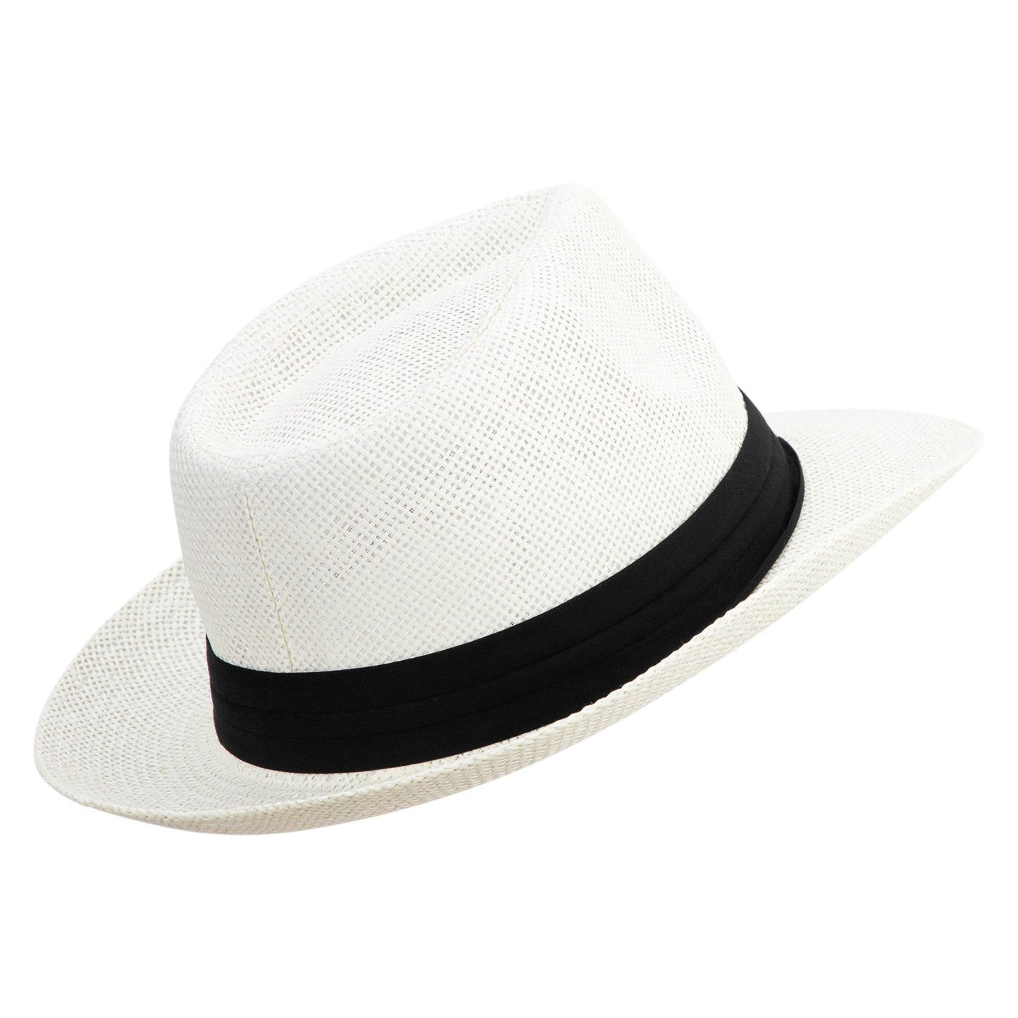 Men's Large Brim Fedora Hat