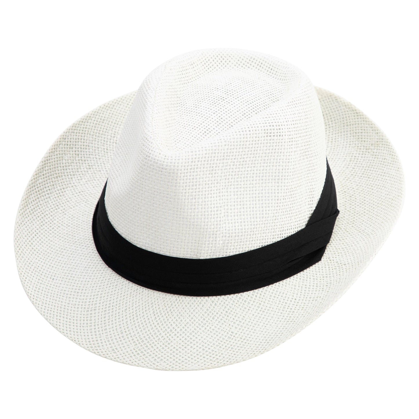 Men's Large Brim Fedora Hat
