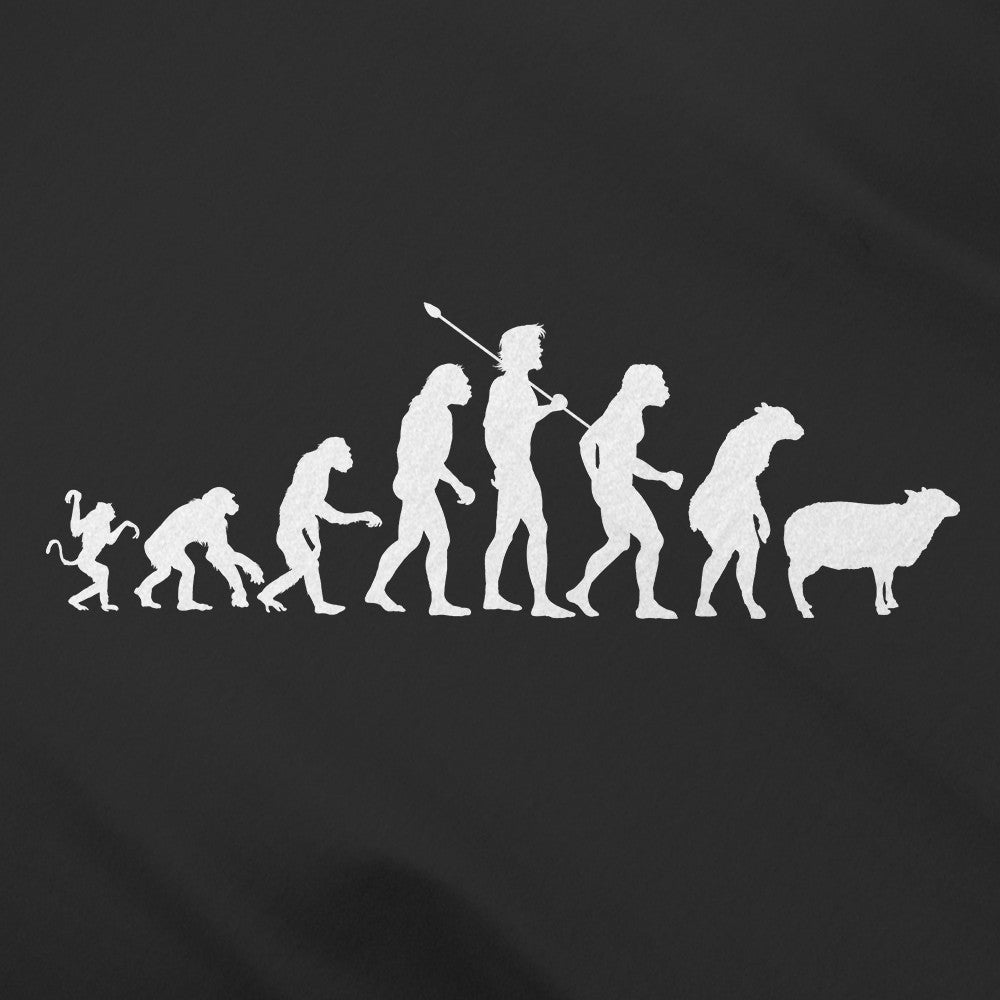 Evolution of Modern Man