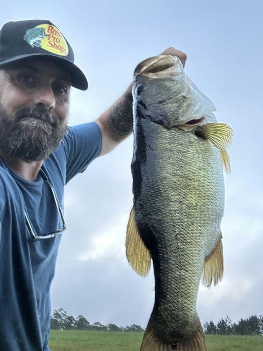 MONSTERBASS Mystery Box