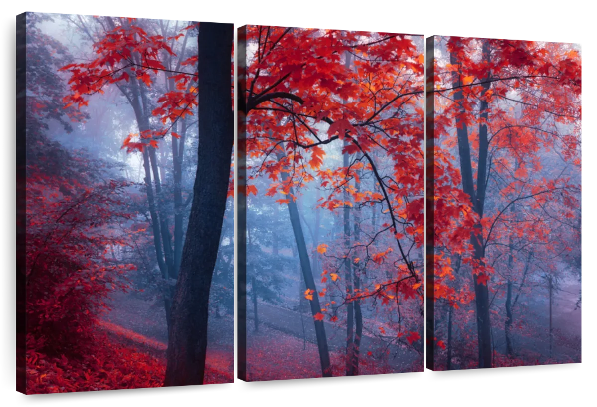 Foggy Red Maple Forest Wall Art