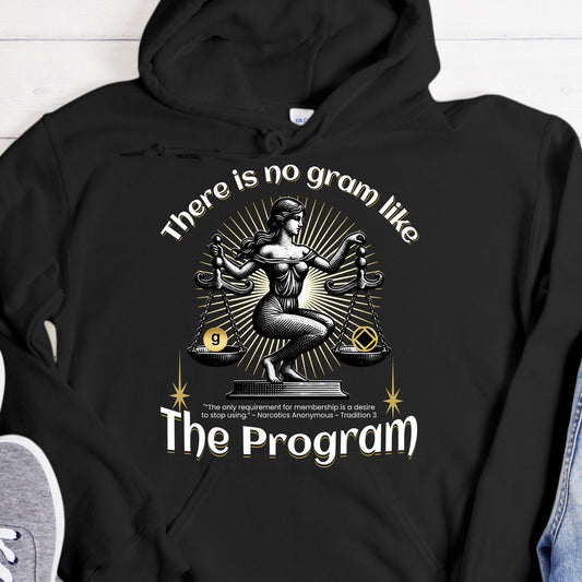 NA Recovery Hoodie | Inspiring Sobriety |  There's No Gram Like The Program