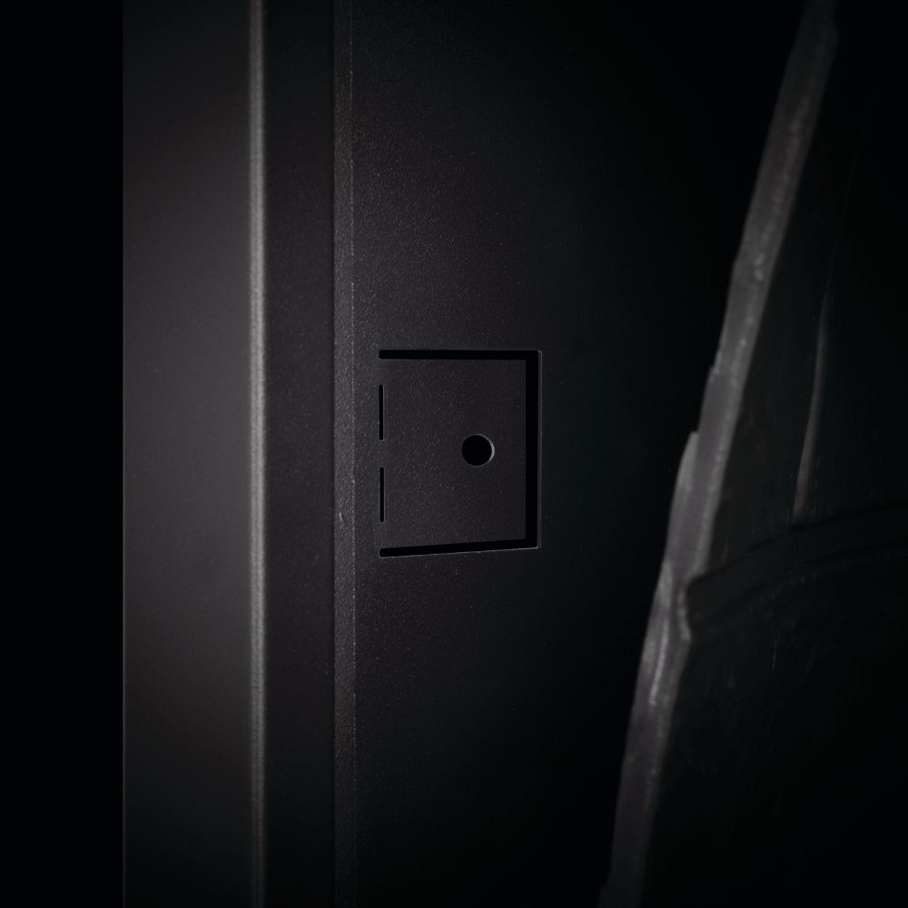 Napoleon Element Built-in Electric Firebox