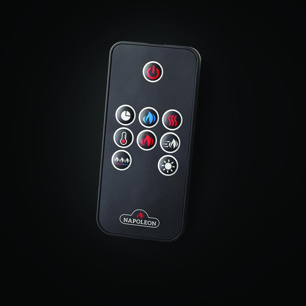 Napoleon Entice Built-in / Wall Mounted Electric Fireplace