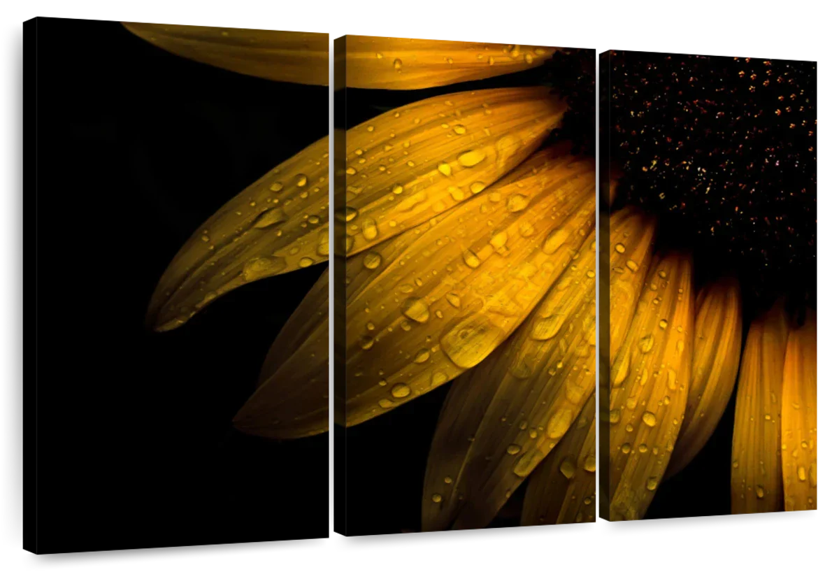 Sunflower Water Wall Art