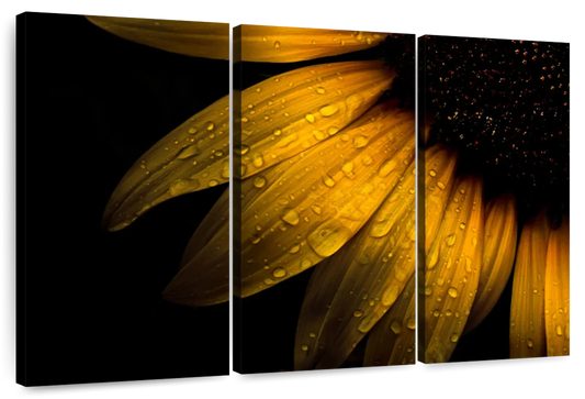 Sunflower Water Wall Art