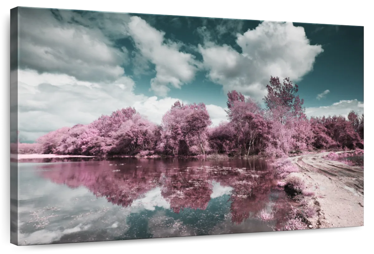 Pateira De Fermentelos Park Wall Art