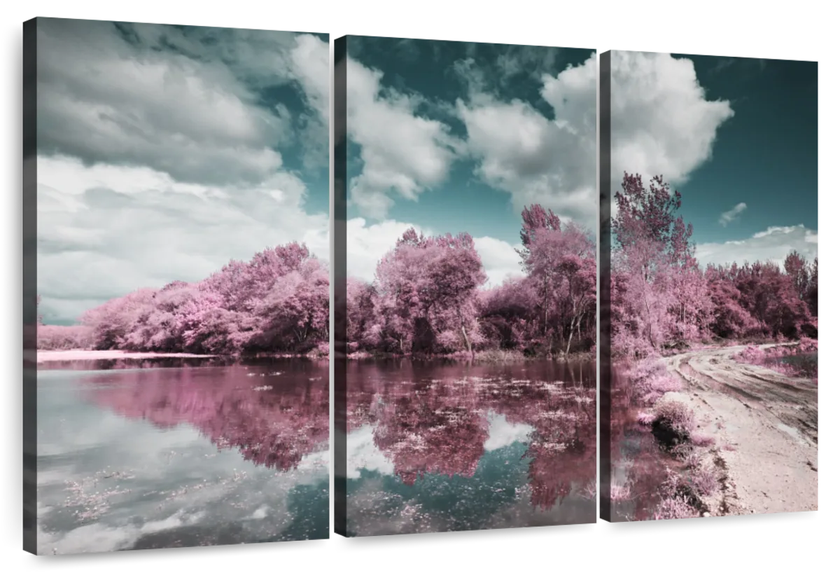 Pateira De Fermentelos Park Wall Art