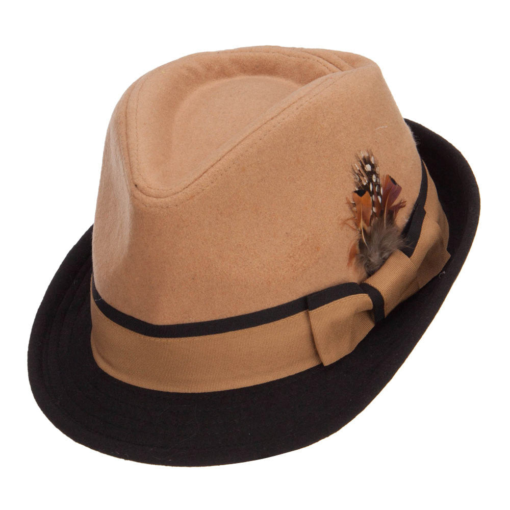 Two Tone Fedora with Feather