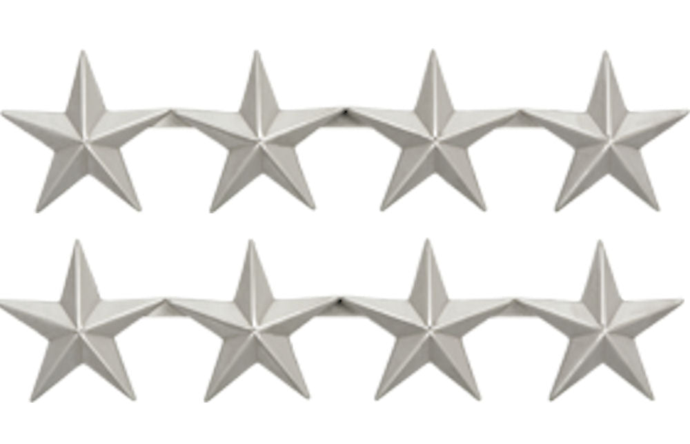 U.S. Army Gold Metal Pin On Rank - Pair