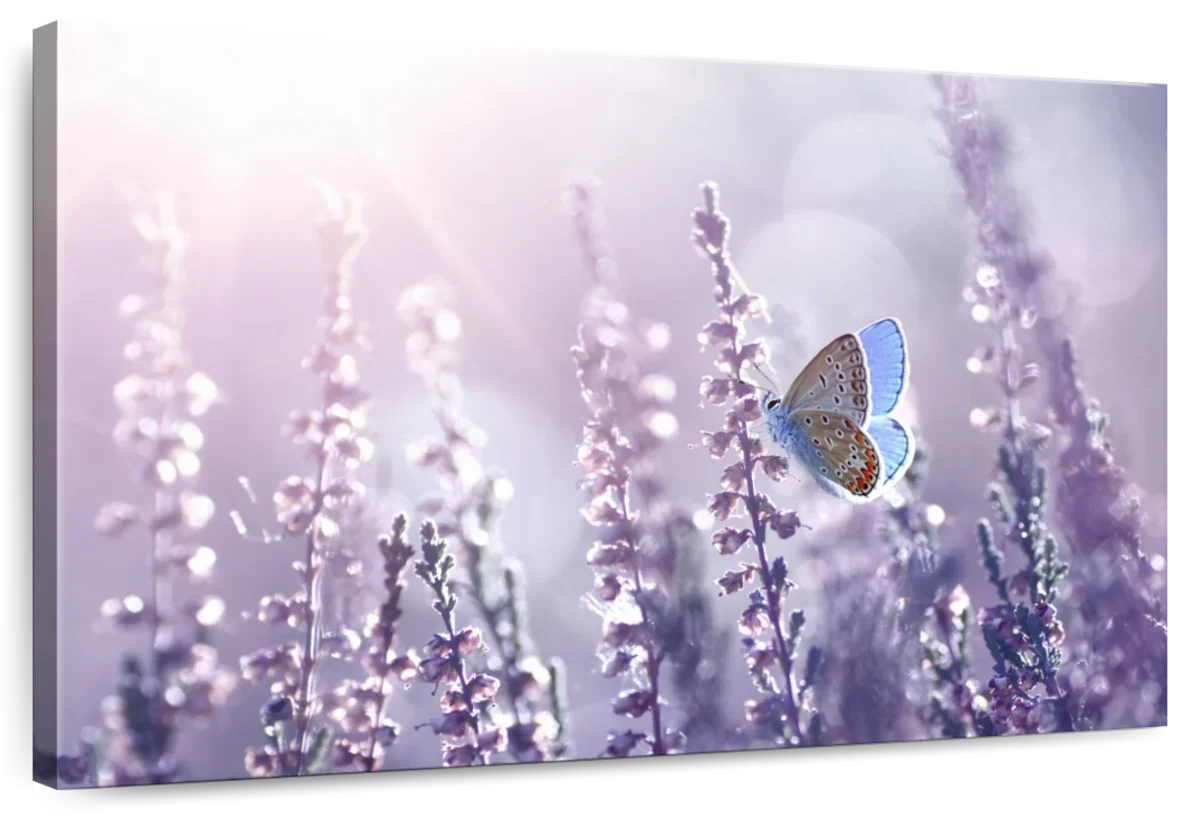Lavender Flower Wall Art