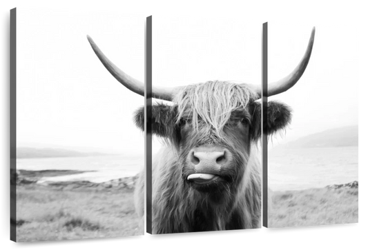 Funny Highland Cow Wall Art