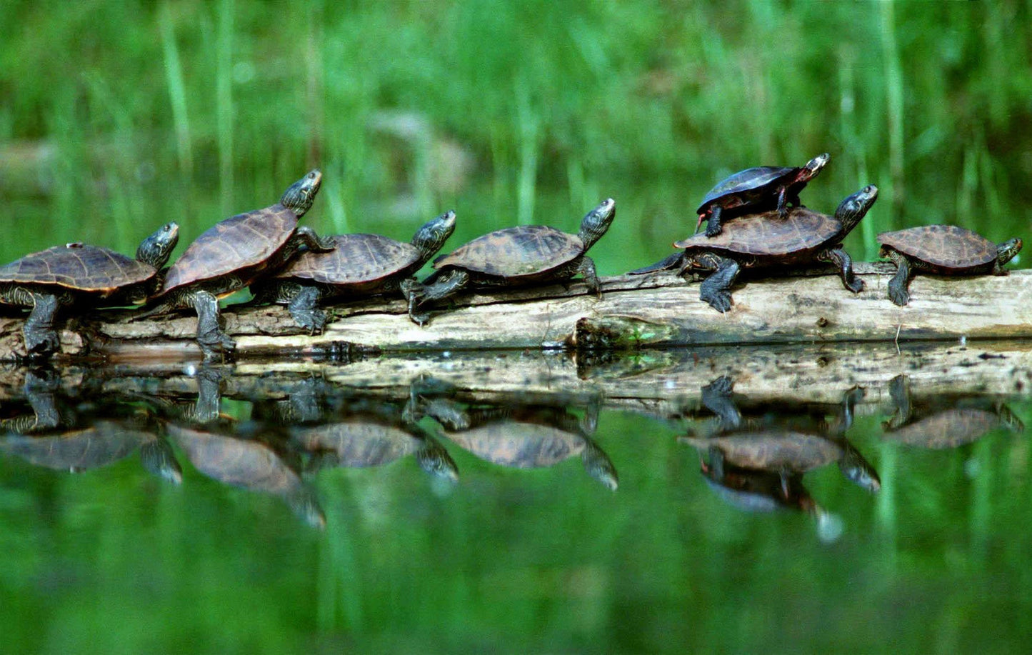 Reflections of: Presque Isle: A Visual Journey