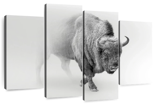 Wild Bison Wall Art