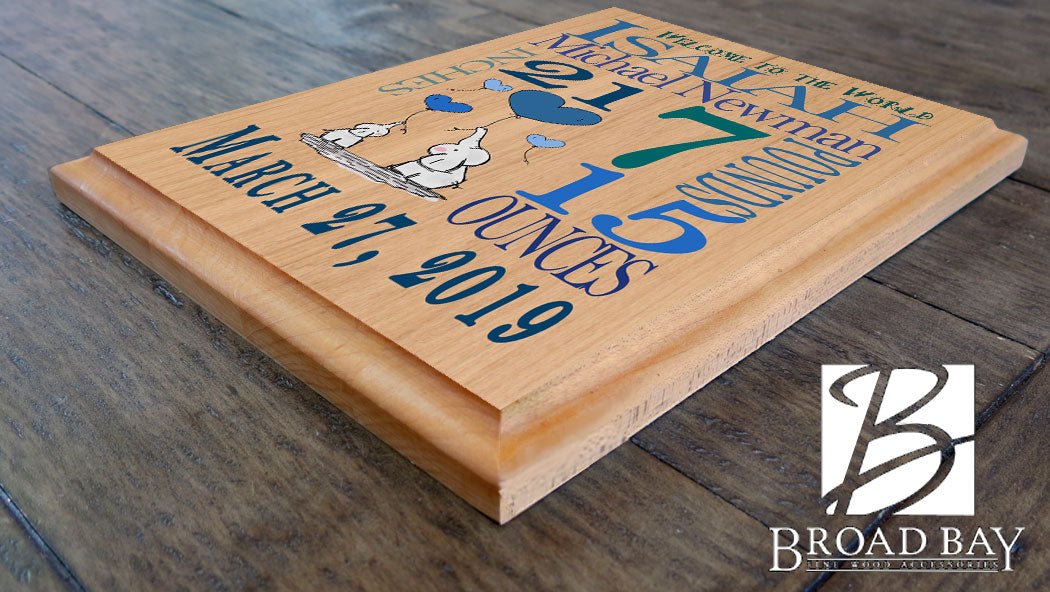 Personalized New Baby Boy Gift Wall Art Nursery Decor for Newborn