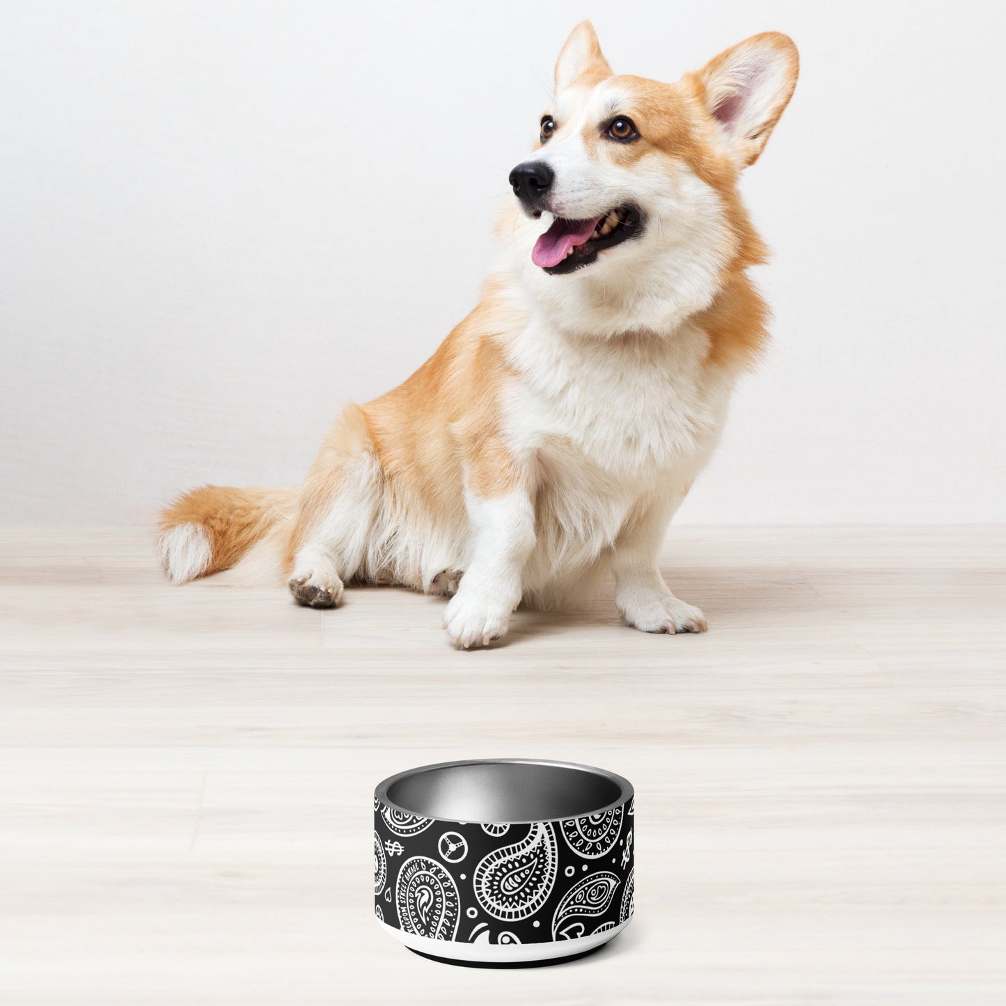 OG Bandito Pet Bowl