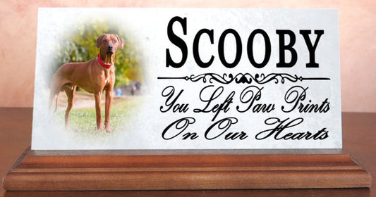 Pet Memorial With Picture Solid Marble - Dog or Cat Loss Sympathy Gift  4" x 8"