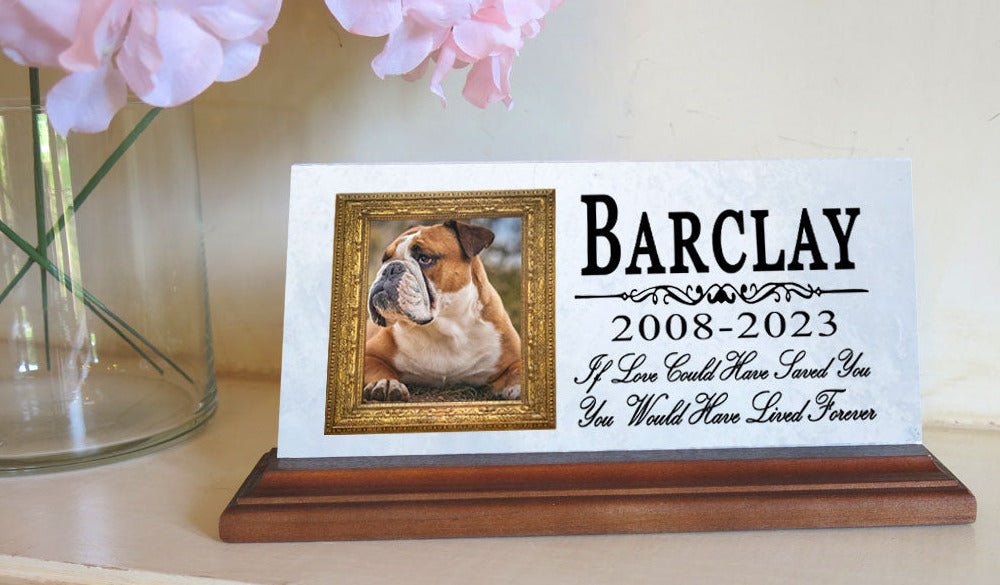 Pet Picture Memorial Plaque for Shelf or Mantel  - Solid Marble - 4" x 8" If Love Could Have Saved You