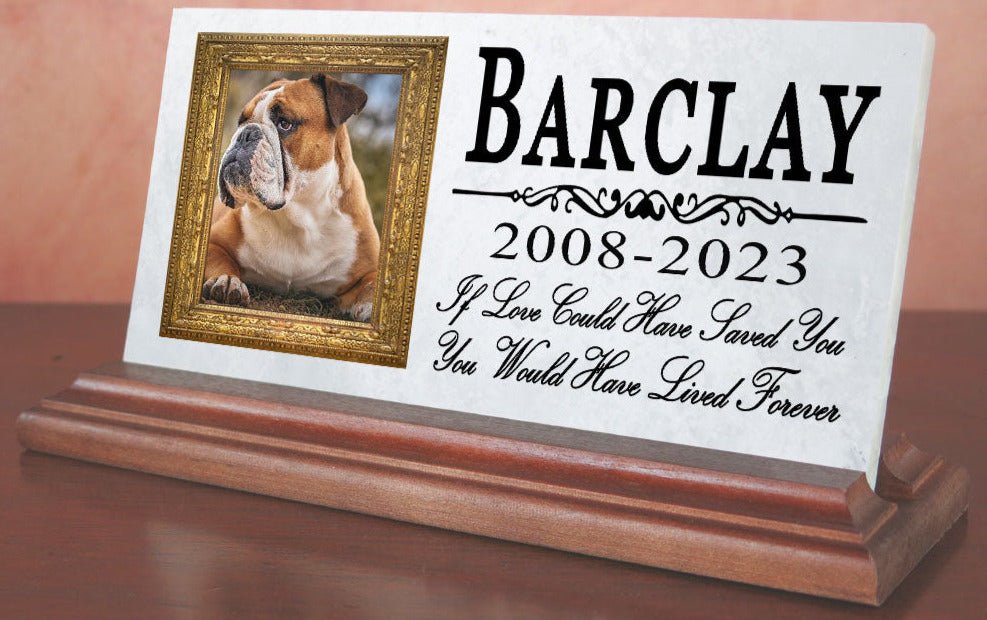 Pet Picture Memorial Plaque for Shelf or Mantel  - Solid Marble - 4" x 8" If Love Could Have Saved You