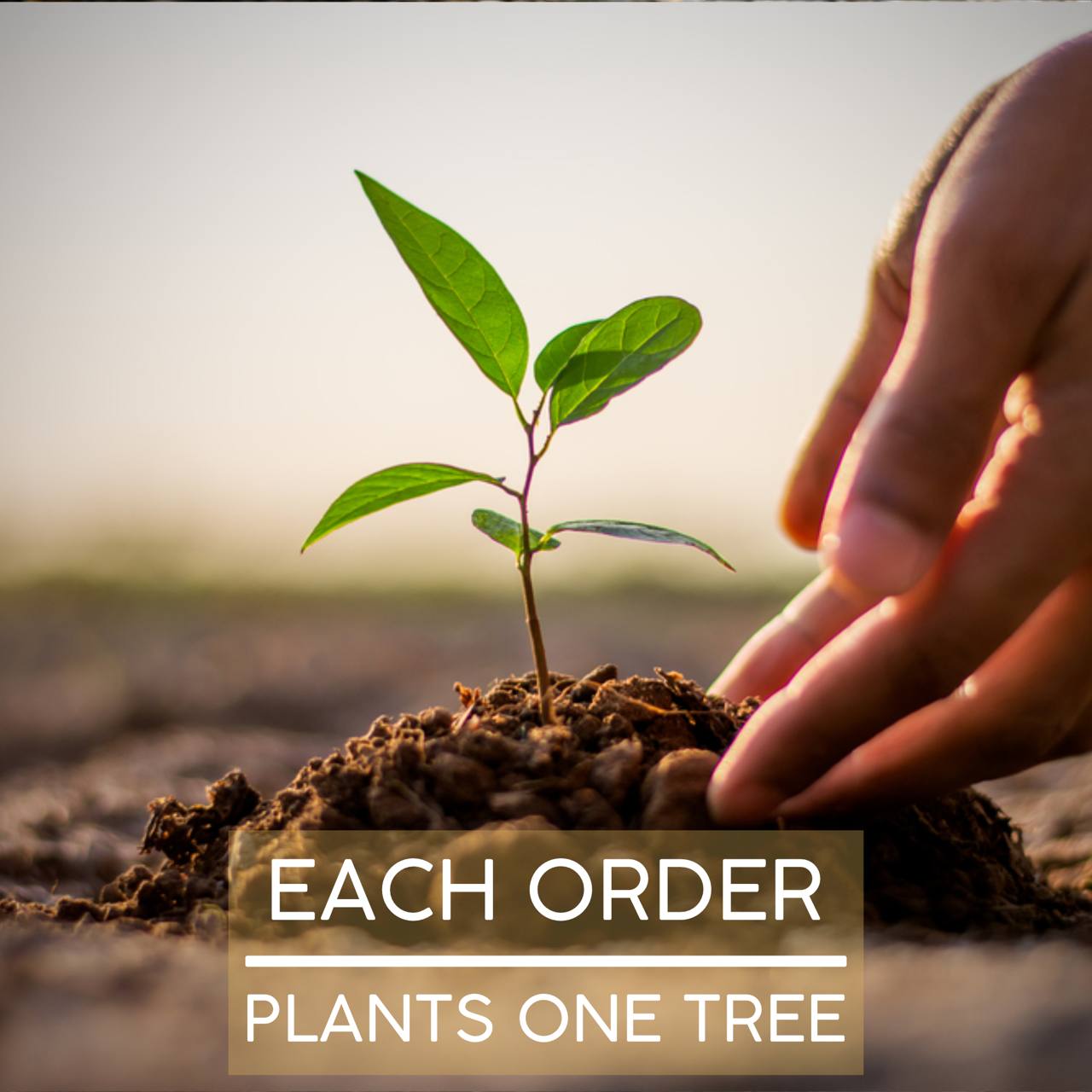 Personalized Raven's Handmade Wooden Watch