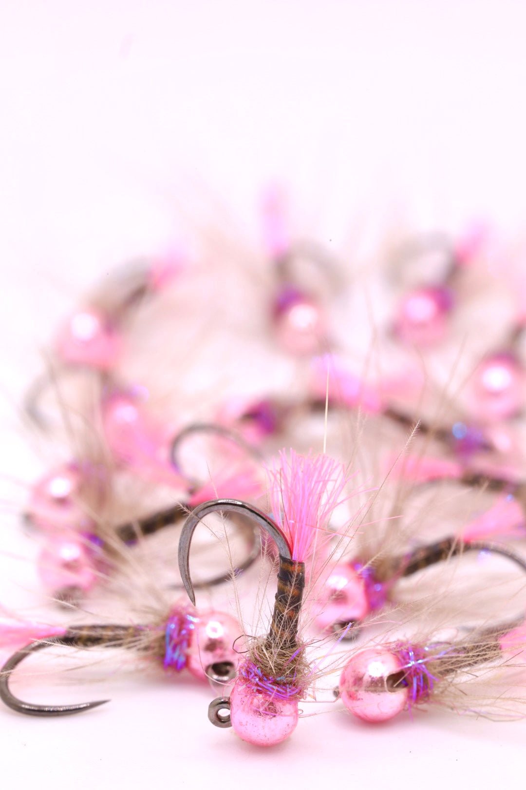 Pink Peacock Quill CDC