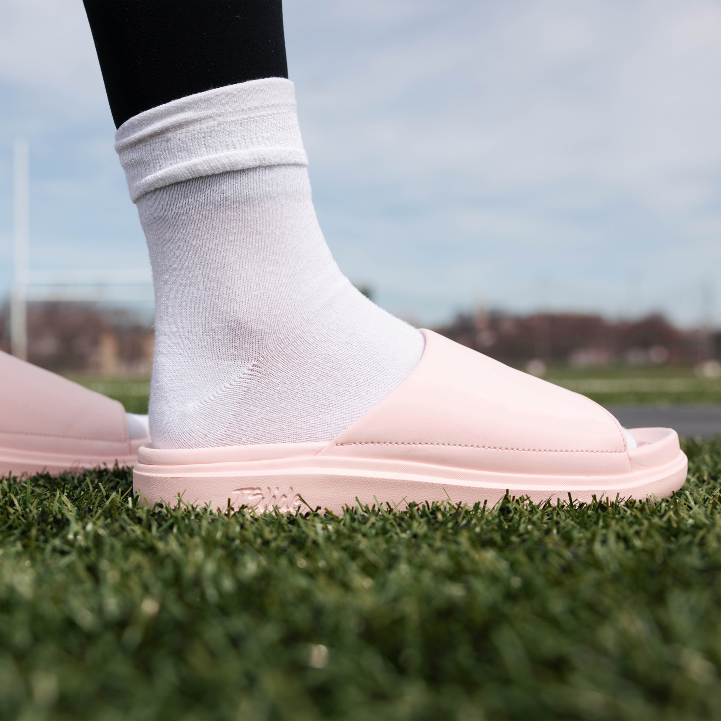 Nantucket Outline Motive