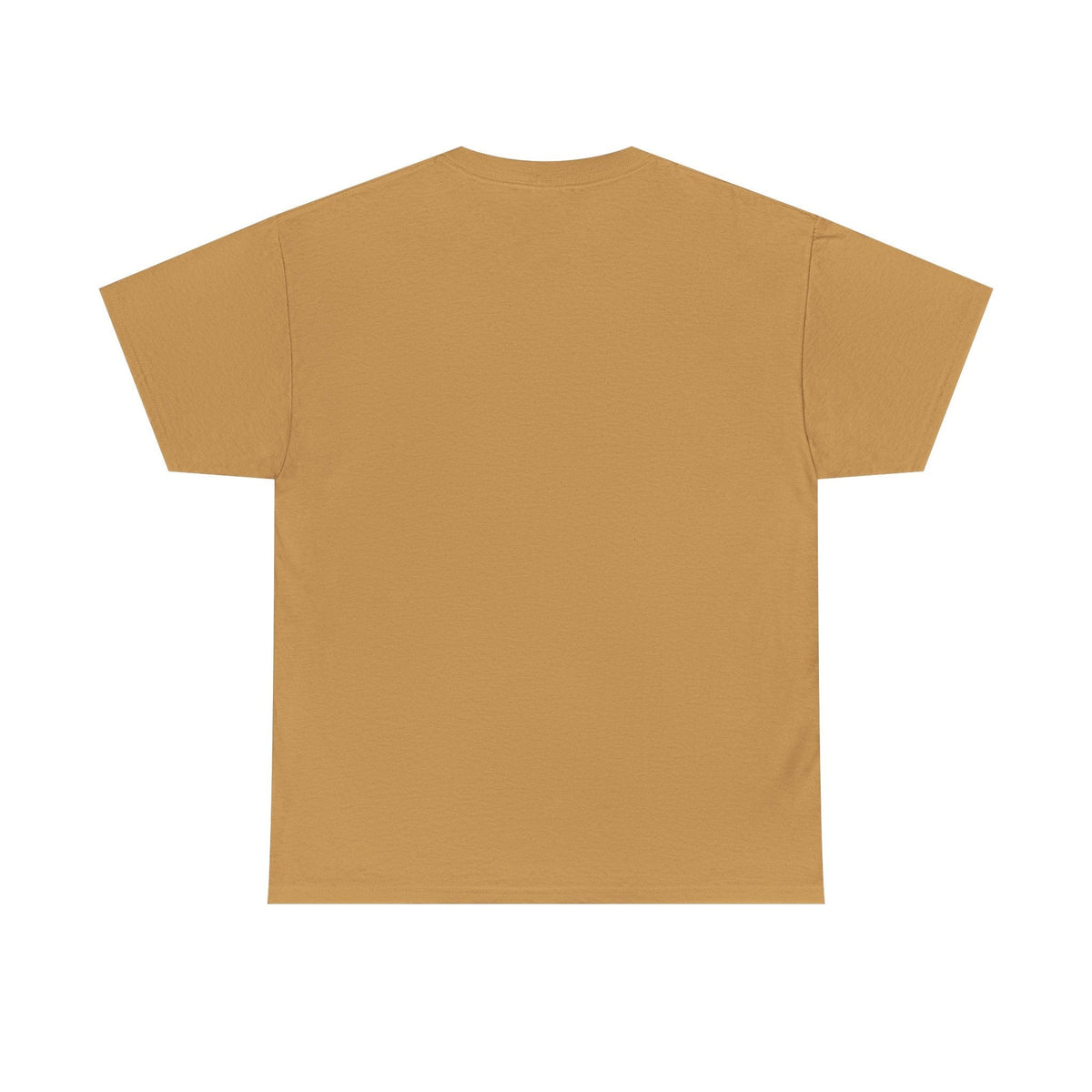 Pittsburgh Dad says this T-Shirt - "How about you stop trying & start doing" - Heavy Cotton Tee