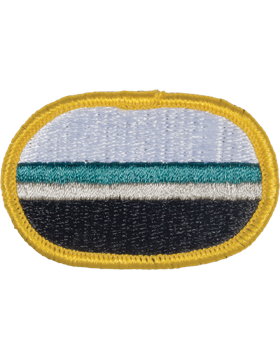 14th Military Intelligence Battalion C Company Oval