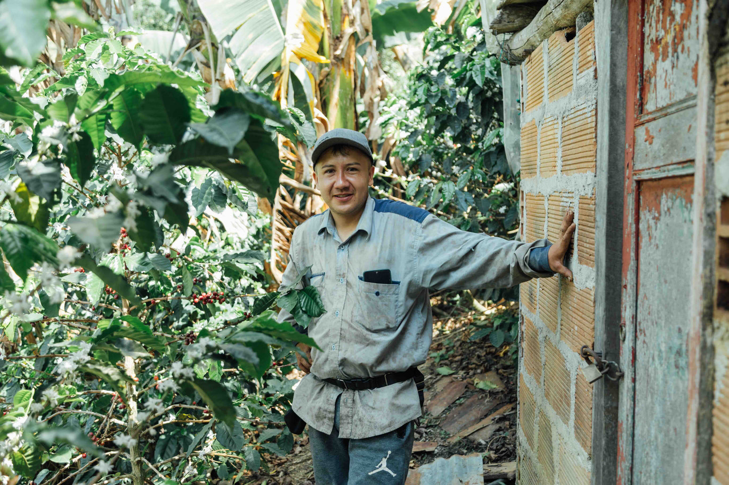 COLOMBIA, SONSON BLACK HONEY