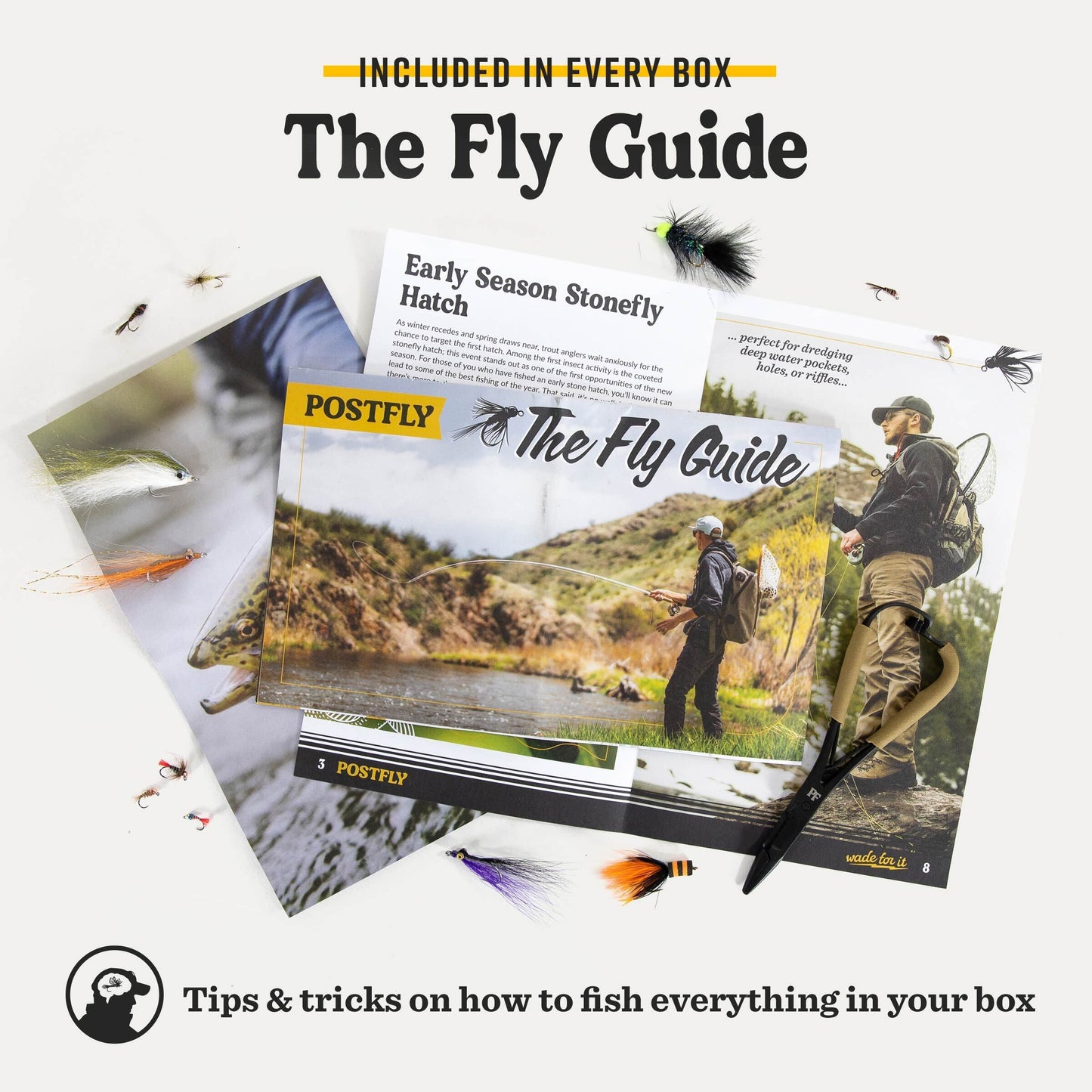 Warmwater Fly Assortment Box