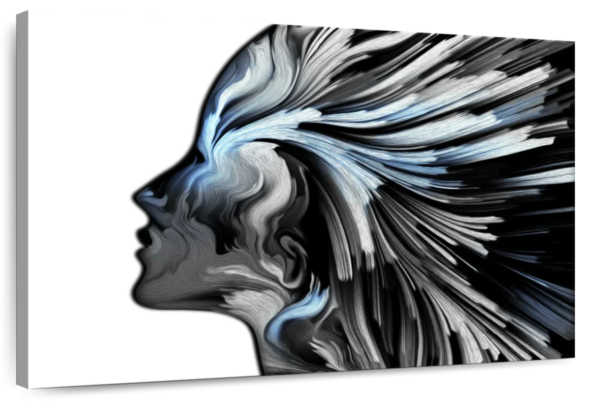 Abstract Silver Profile Colors Wall Art