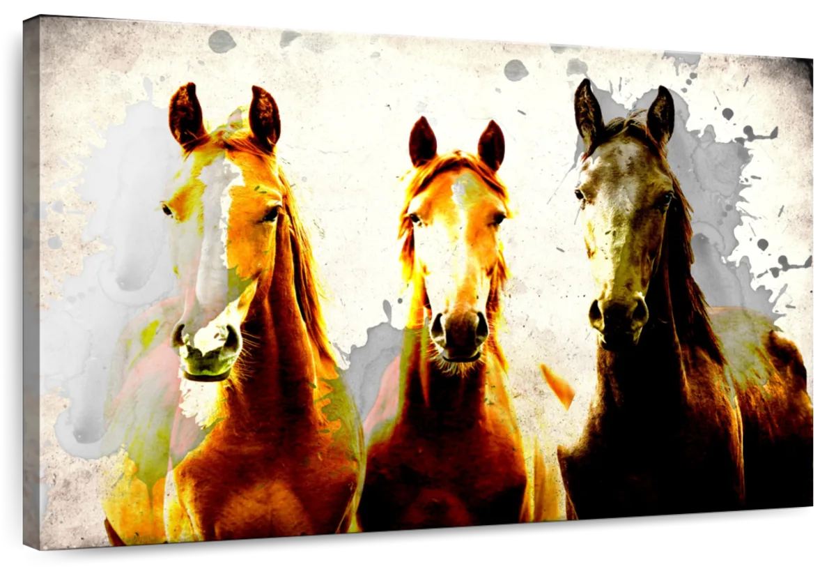 Three Horse Heads Wall Art