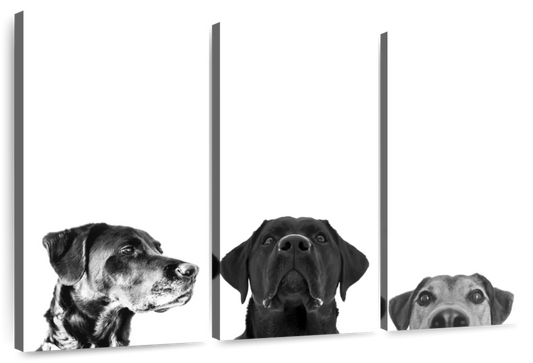 Adorable Puppies Wall Art