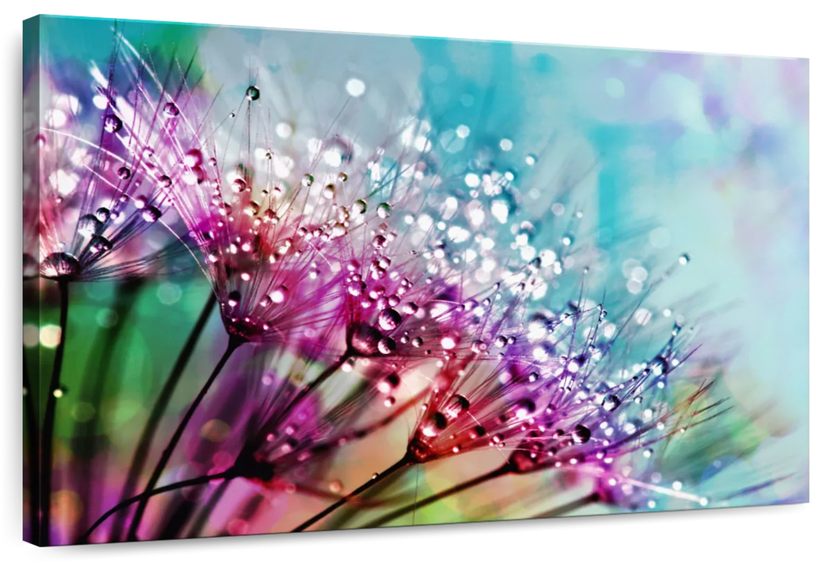 Colorful Dew Wall Art