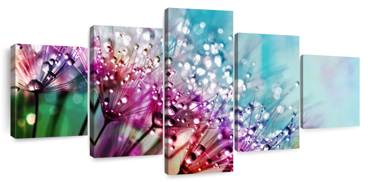 Colorful Dew Wall Art