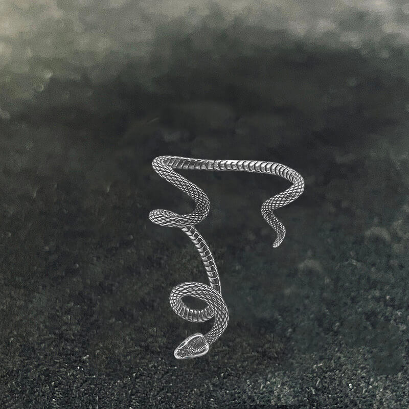 Punk Snake Design Stainless Steel Ear Cuffs