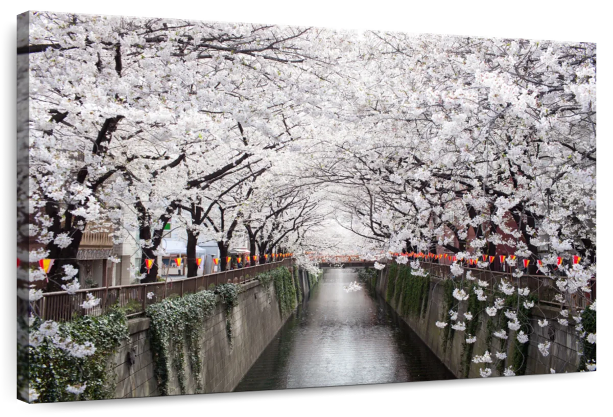 Sakura Passage Wall Art