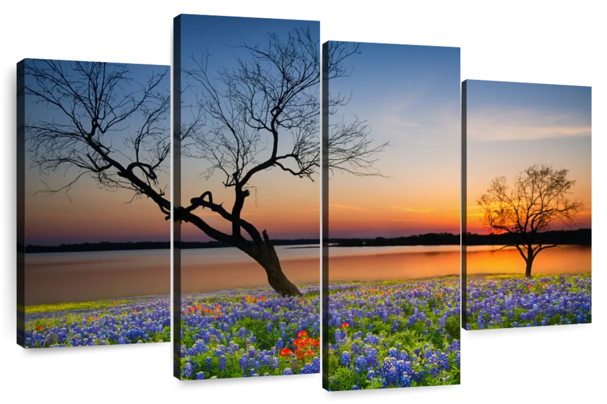 Texas Sunset Wall Art