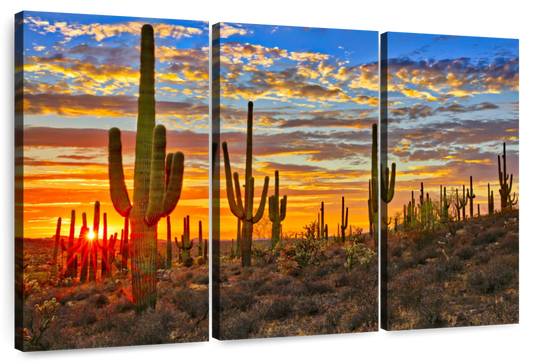Sunset Cactus Wall Art