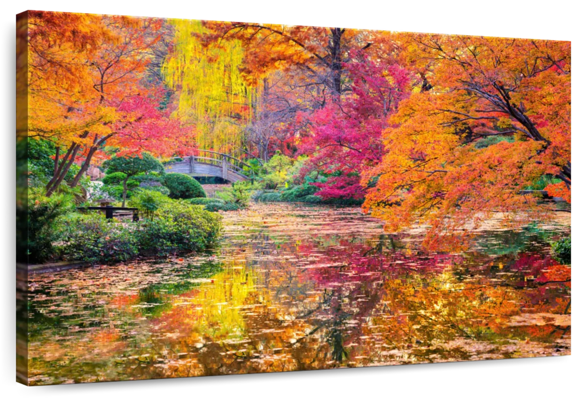 Colors Of Autumn Wall Art