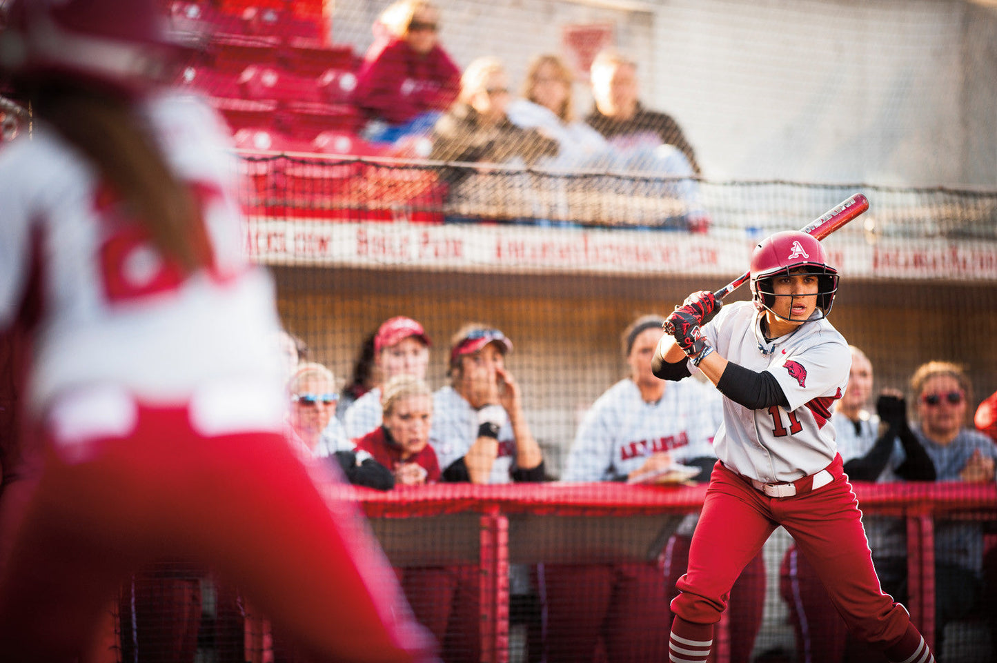 Capture Arkansas III: The Best of Arkansas in Photography