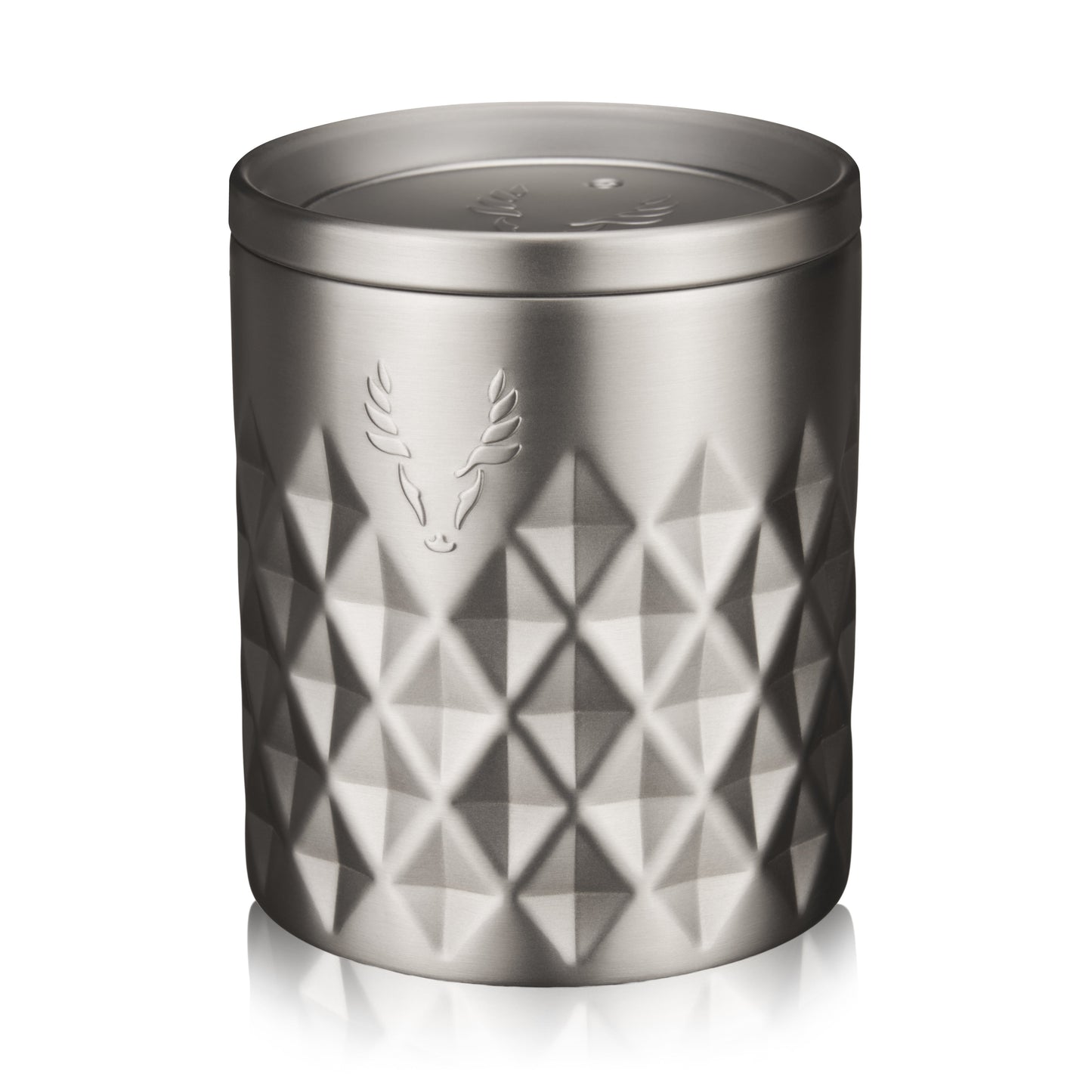 Paragon Stainless Steel Rocks Tumbler in Platinum