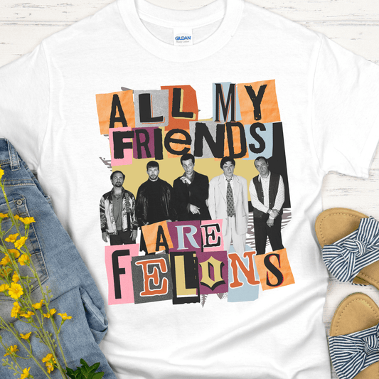Recovery T-Shirt | Inspiring Sobriety |  All My Friends Are Felons