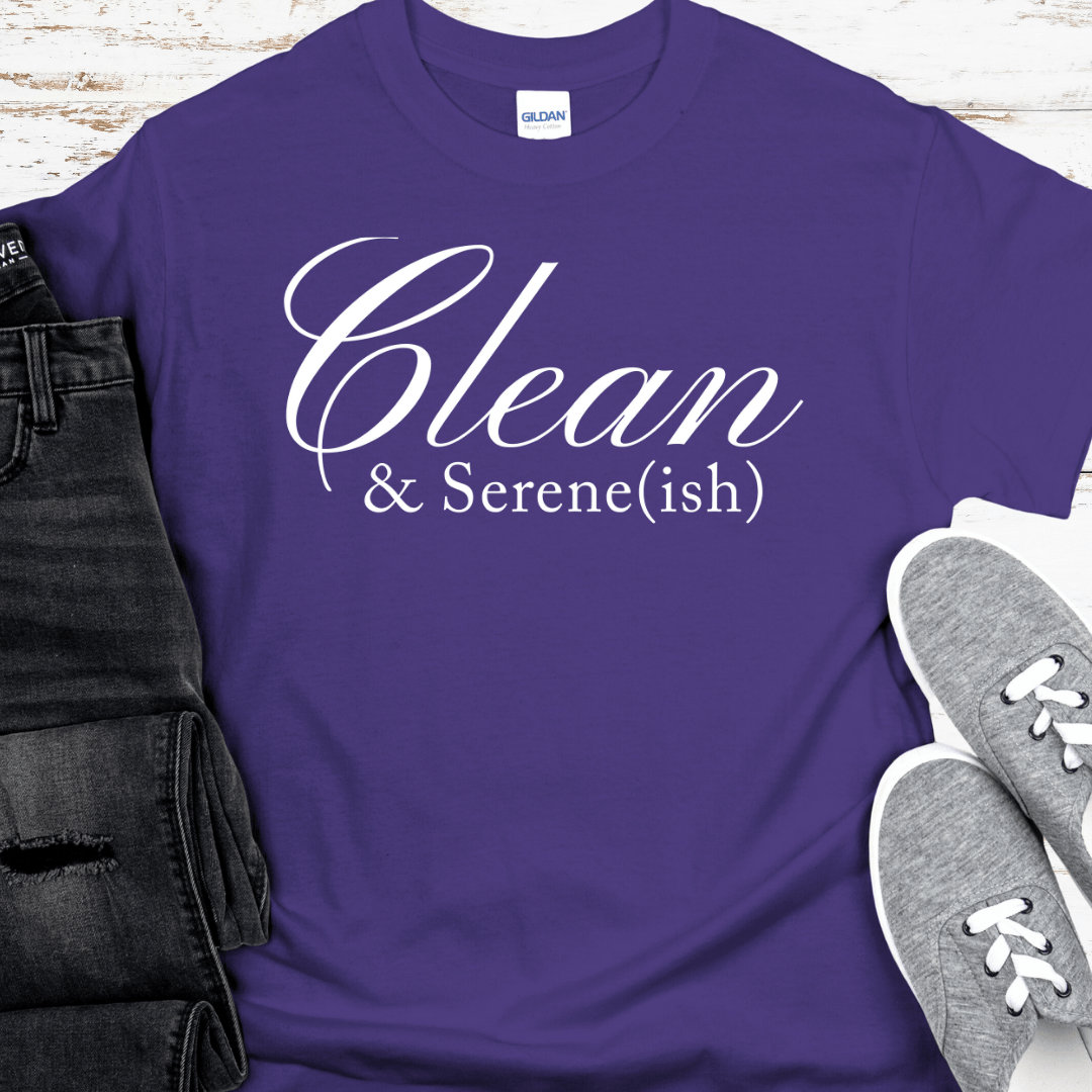 Recovery T-Shirt | Inspiring Sobriety |  Clean & Serene(ish)