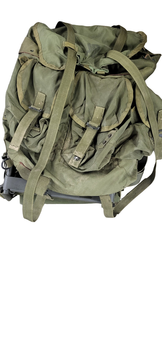 LC-1 Large ALICE Ruck Sack with Frame Olive Drab - Previously Issued