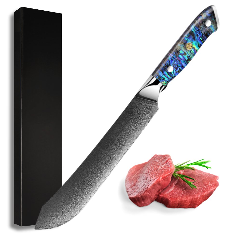 Ronin VG10 9" Chef Knife Damascus Steel Knife with Abalone Shell Handle